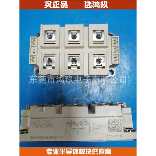 SKM300MLI066ATA  GD300MLT65C2S 保险管模块