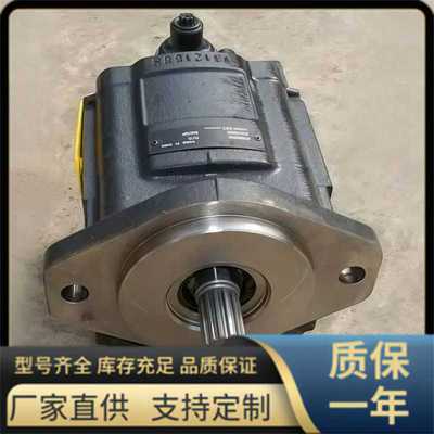 KP40.133 系列 凯斯帕齿轮泵,国产 CASAPPA型 液压泵