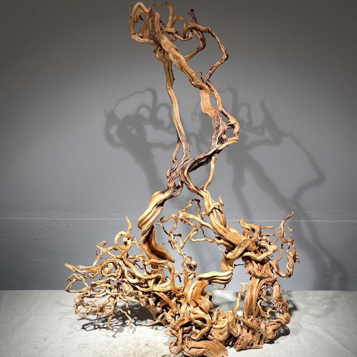 天然风化枯木树根雕摆件家居客厅博古架陈设古风装饰品昌震