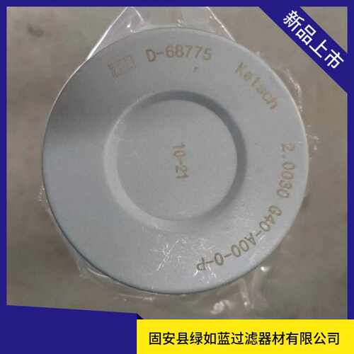 EPE D-68775 Ketsch 2.0030 G40-A00-0-P过滤器滤芯