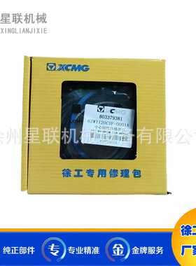 徐工挖机配件XE335XE215中心回转体修理包徐工原厂配件803379381