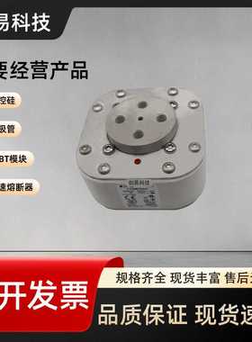 170M7098 170M7099 170M7100 170M7101 170M7102全新熔断器