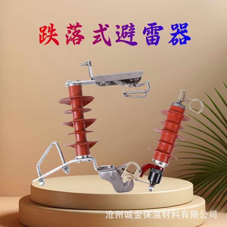 10KV户外带脱离器避雷器HY5WS-17/50TL无间隙氧化锌避雷器