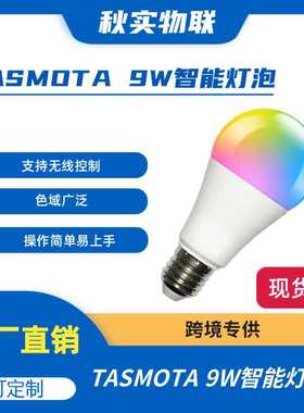 TASMOTA 智能灯泡 9W 与 Home Assistant ESP8266 MQTT 配合使用