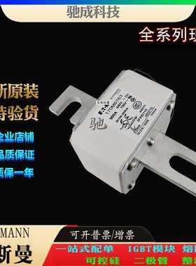 巴斯曼170M6763 170M6764 170M6765 厂家供货批零兼营 紧凑熔断器