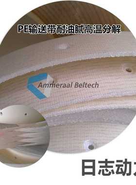 PEFLEX ESM 5/1 02+02 AS M2 Transp 1.1MM PE输送带1M1747 S0 AS