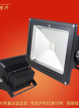 LED投光灯50Wled遥控投光灯 RGB投光灯黑色LED景观亮化投光灯