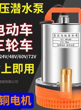 电瓶车直流潜水泵12v24v48v60v72v电动车抽水泵农用灌溉抽水机