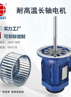 雨田180W微波干燥设备电机 羊肚菌烘干机耐高温长轴马达Y26324