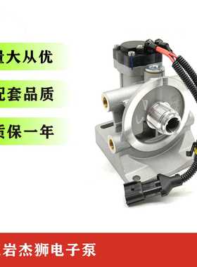 厂家供应 1100-900205B电子泵适配上汽红岩杰狮C500电泵总成