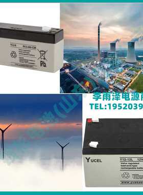 YUCEL蓄电池Y15-12电子仪器 仪表 电子秤12V15Ah应急用UPS电源免