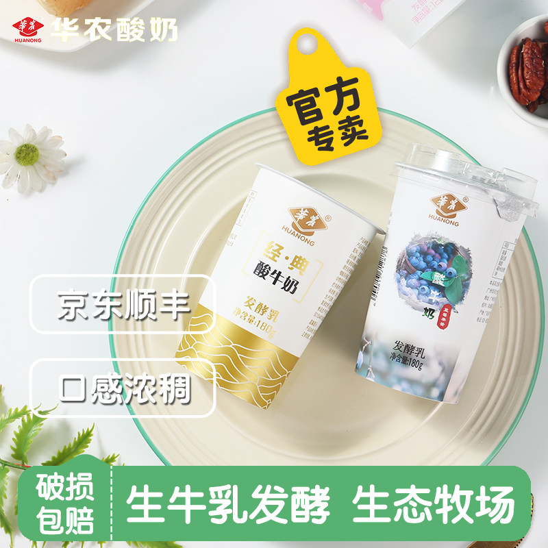 华农酸奶经典/蓝莓果酱酸牛奶