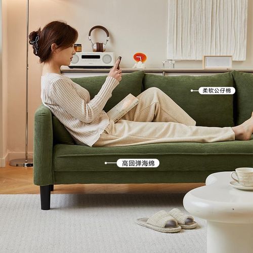 沙发小户型客厅2024新款出租A房双人三人组合公寓民宿卧室布艺沙