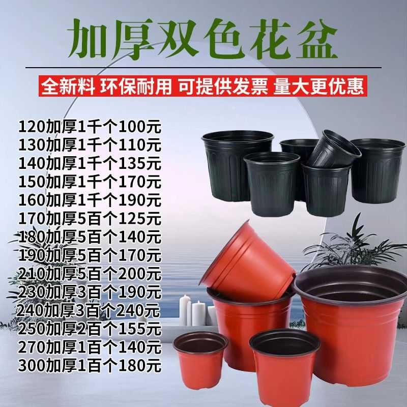 花盆双色育苗盆多肉盆营养钵盆育苗杯加厚双色盆扦插大棚简易
