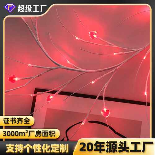 WOW定制彩灯求婚场景布置房间电池款情人节婚庆节日装饰led灯串灯