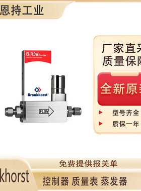 荷兰Bronkhorst FG-2011av 气体流量控制器 全新原装 厂家直采