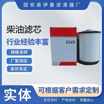 厂家供应60307173柴油滤芯160603020043B 工程机械设备配件