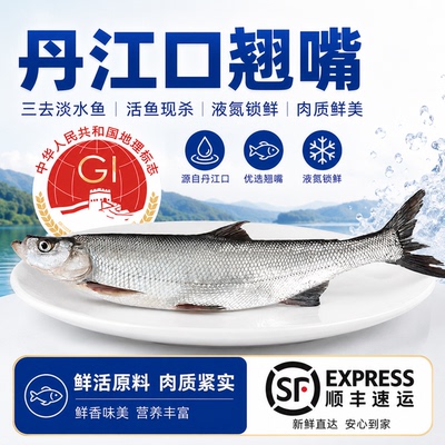 楚食比亚丹江口特产新鲜翘嘴鱼