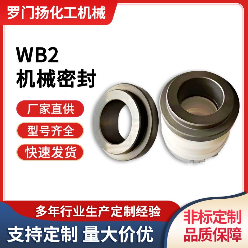 WB2碳化硅机械密封,FSBT泵专用外装式