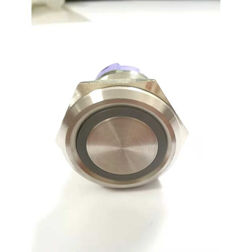 TAYEE天逸金属一体按钮TMB22-PD22-J带灯按钮自复位按钮 环灯按钮