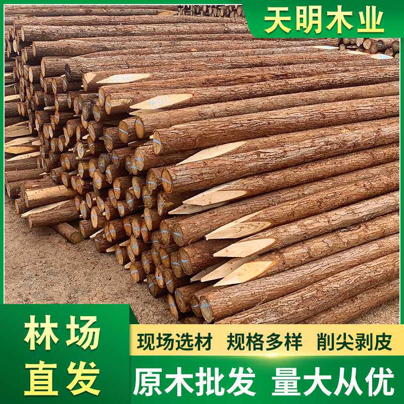 林场直发河道打桩建筑木桩 景观杉木桩工地水利工程防汛木