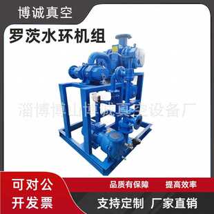 淄博ZJP300罗茨水环真空机组 2BV5131真空泵