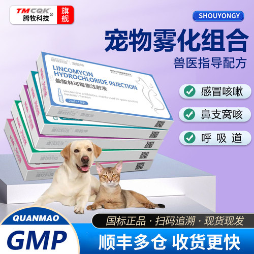 宠物猫咪狗狗雾化组合