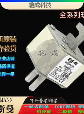 巴斯曼170M5009 170M5010 170M5011 大量现货销售价优 原装熔断器