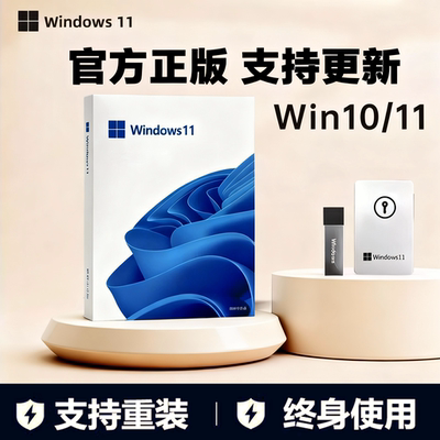 正版win11专业版系统u盘重装Windows10家庭中文版升级Pro纯净指导