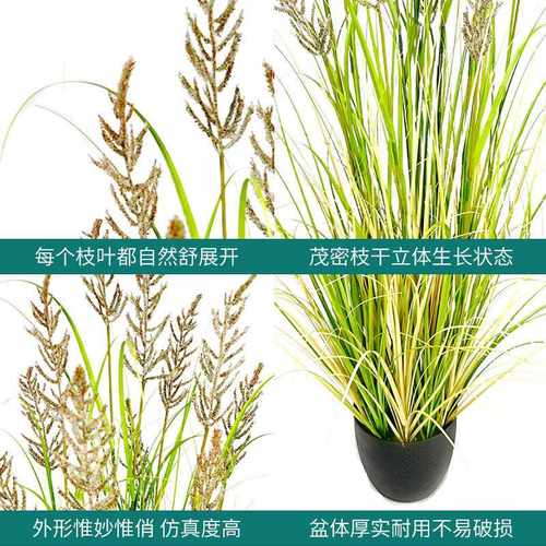 仿真植物水稗草盆 大型植物盆景造景装饰餐厅室内仿生绿植摆件