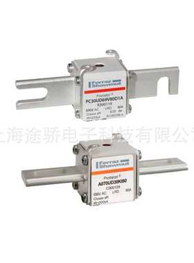 罗兰熔断器   PC70UD13C80PA M301242  PC70UD13C100PA J301124