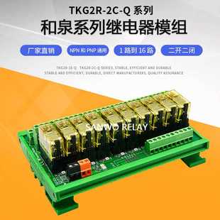 输出板 组合 RJ2S 10路SANWO DC24V RELAY继电器模组模块