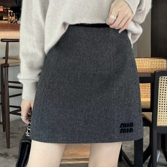 SUNSHINE LION 2025秋冬新款时尚百搭高腰显瘦字母植绒短裙半身裙