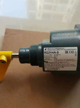 议价英国4B料位传感器.料位开关、RG2具体看型