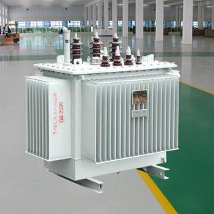 315 100KVA 变压器100 800 济南油浸式 630 400 200 500