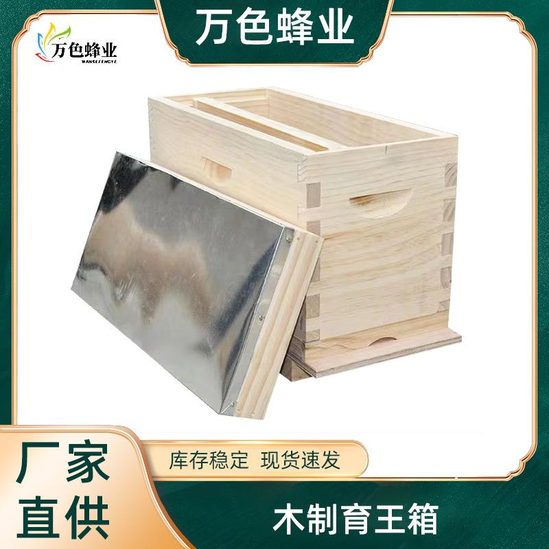 厂家加厚杉木育王箱家用小型中锋育王箱养蜂工具蜜蜂蜂箱