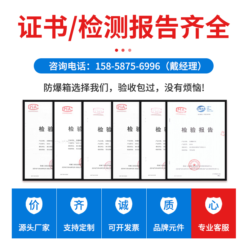 防爆配电箱空箱隔爆接线箱300*400仪表箱控制箱定制不锈钢碳钢箱
