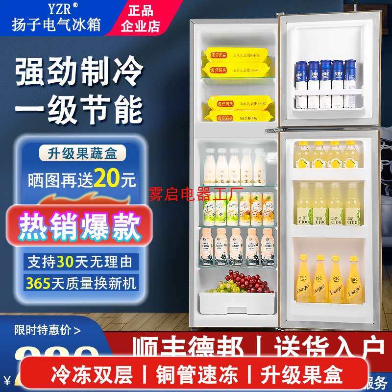 扬子电气小冰箱家用小型冷冻冷藏迷你宿舍二人出租房能效节能