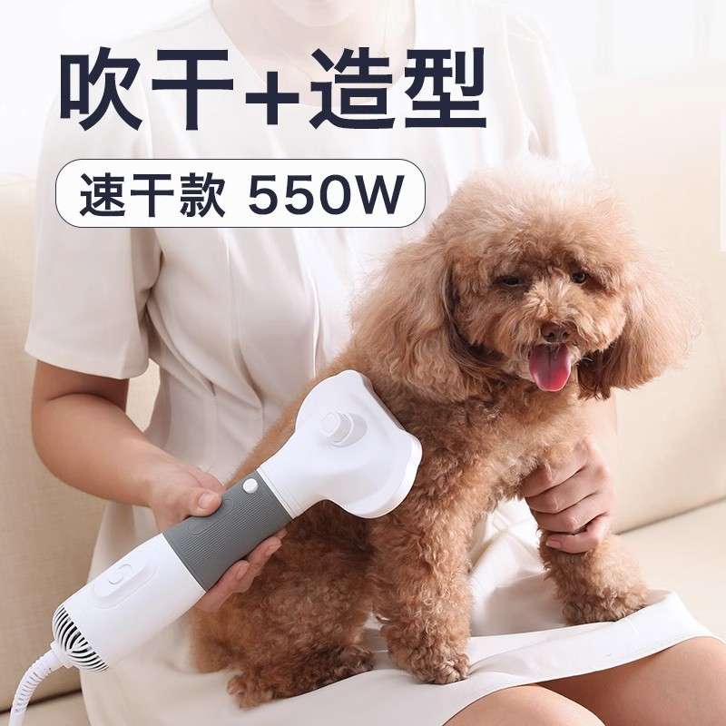 宠物吹风机拉毛一体吹毛速干狗狗猫专用吹风机大型犬梳毛洗澡神器