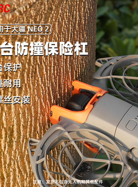 适用于大疆NEO2云台保险