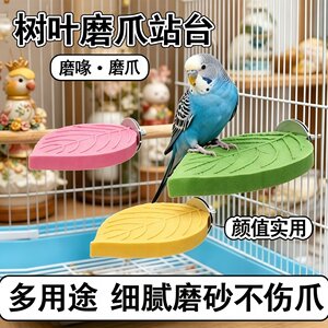 宠帮仕鹦鹉磨砂站杆防滑耐磨