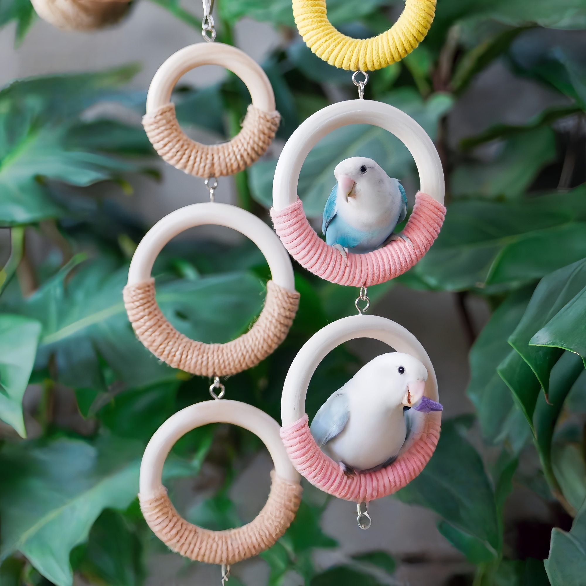 鹦鹉攀爬吊环防滑互动解闷鸟笼