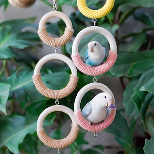 鹦鹉玩具秋千攀爬吊环防滑互动解闷鸟笼装 饰牡丹虎皮玄凤和尚小太