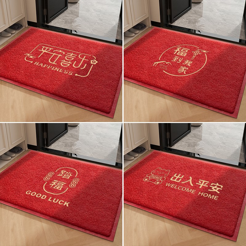 地垫入户门丝圈脚垫高级感防滑进门门口地毯入门门垫门外蹭脚垫子