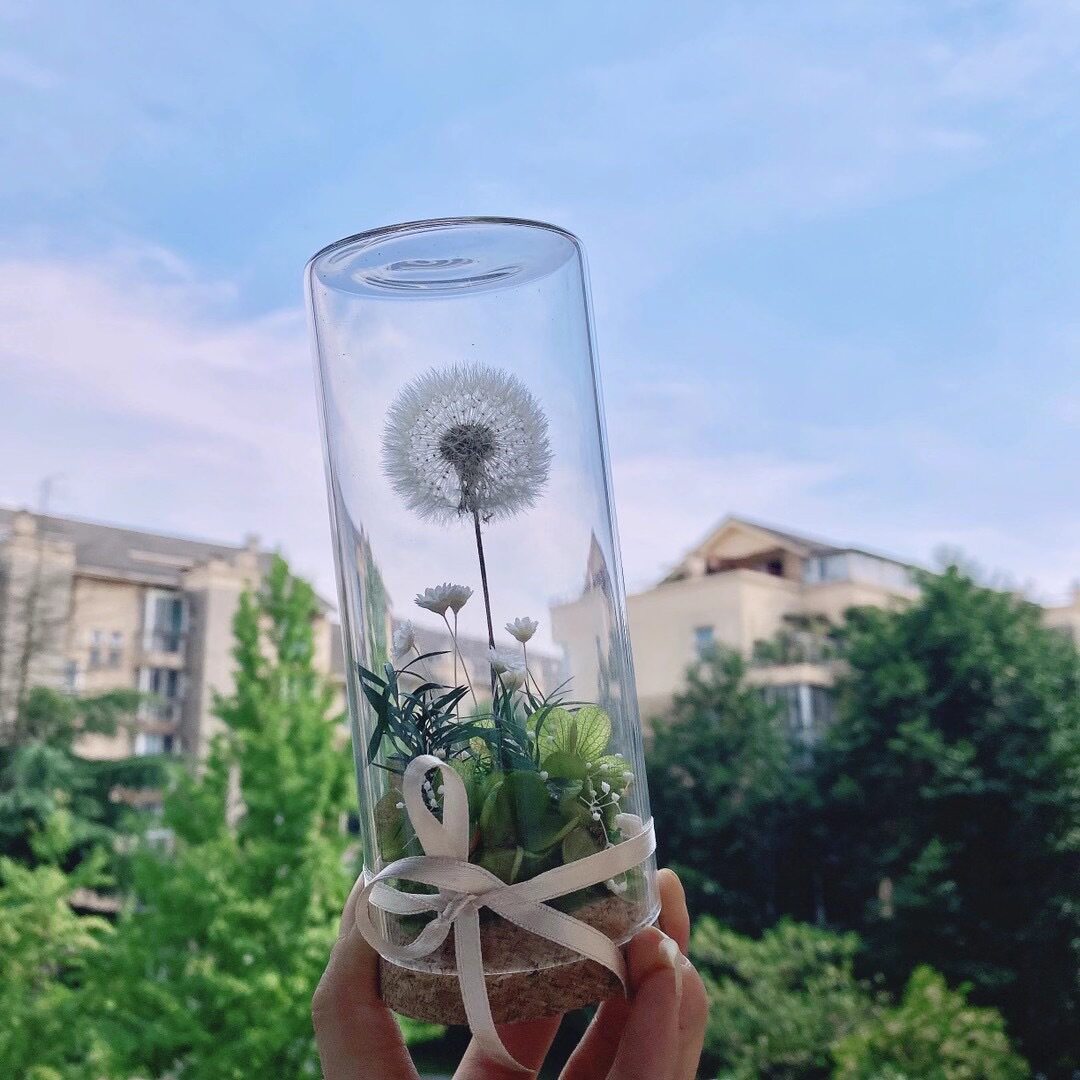 永生花礼盒玻璃罩蒲公英许愿瓶