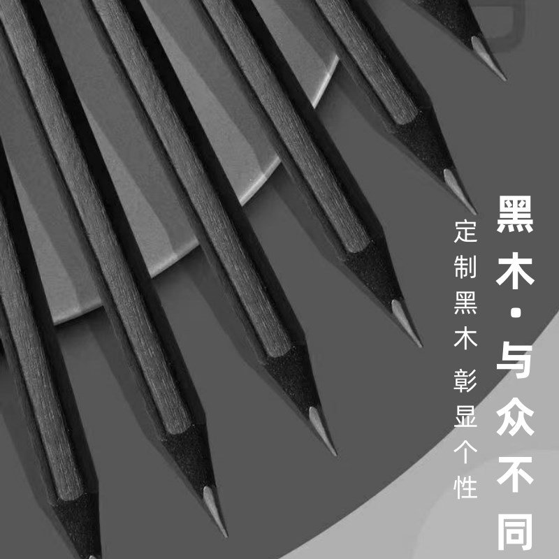 艾绘画黑木炭笔美术生专用素描碳笔初学者艺考极软中硬速写专用