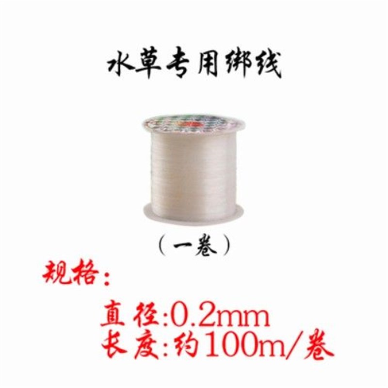 散装莫斯水草地毯黑壳虾繁t殖沉木造景草缸三角垂泪新手莫丝净化