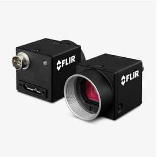 Gen 1接口 BFLY 加拿大FLIR菲力尔工业相机 13S2M 3.1 USB