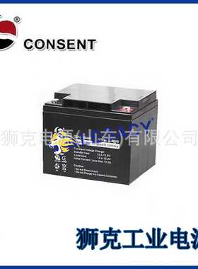 德国WING蓄电池BTX12-17LS深循环铅酸12V17AH机房应急工业设备