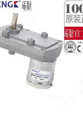 正科永磁直流减速电机ZGB95FE  12V 24V   输出軸偏心节能